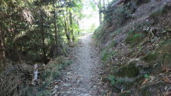 foto escursione